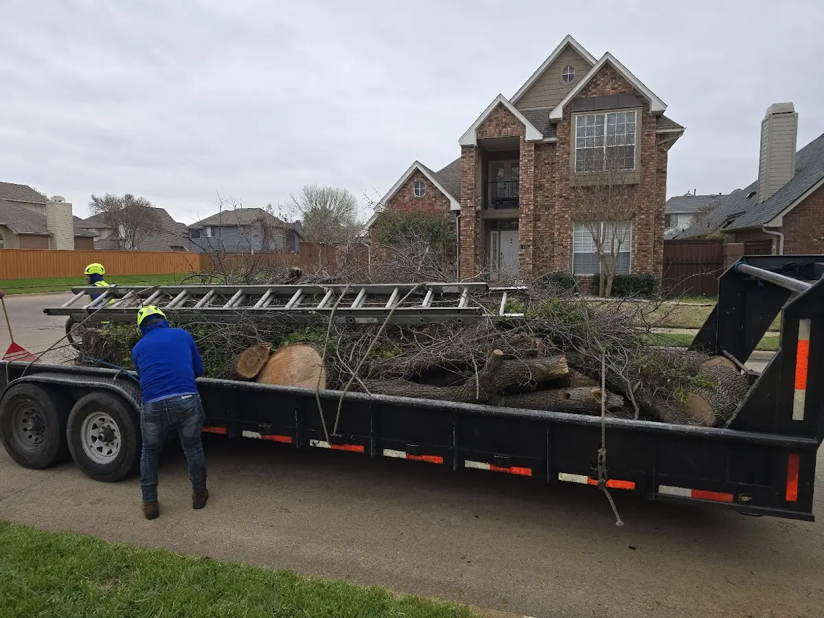 Expert Tree Fertilization with proper safety equipment in Lambertville